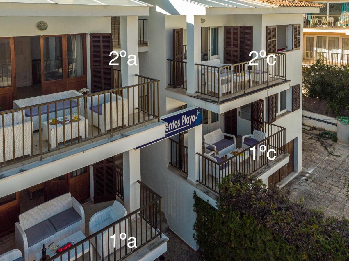 Apartments Playa Alcudia  Dış mekan fotoğraf