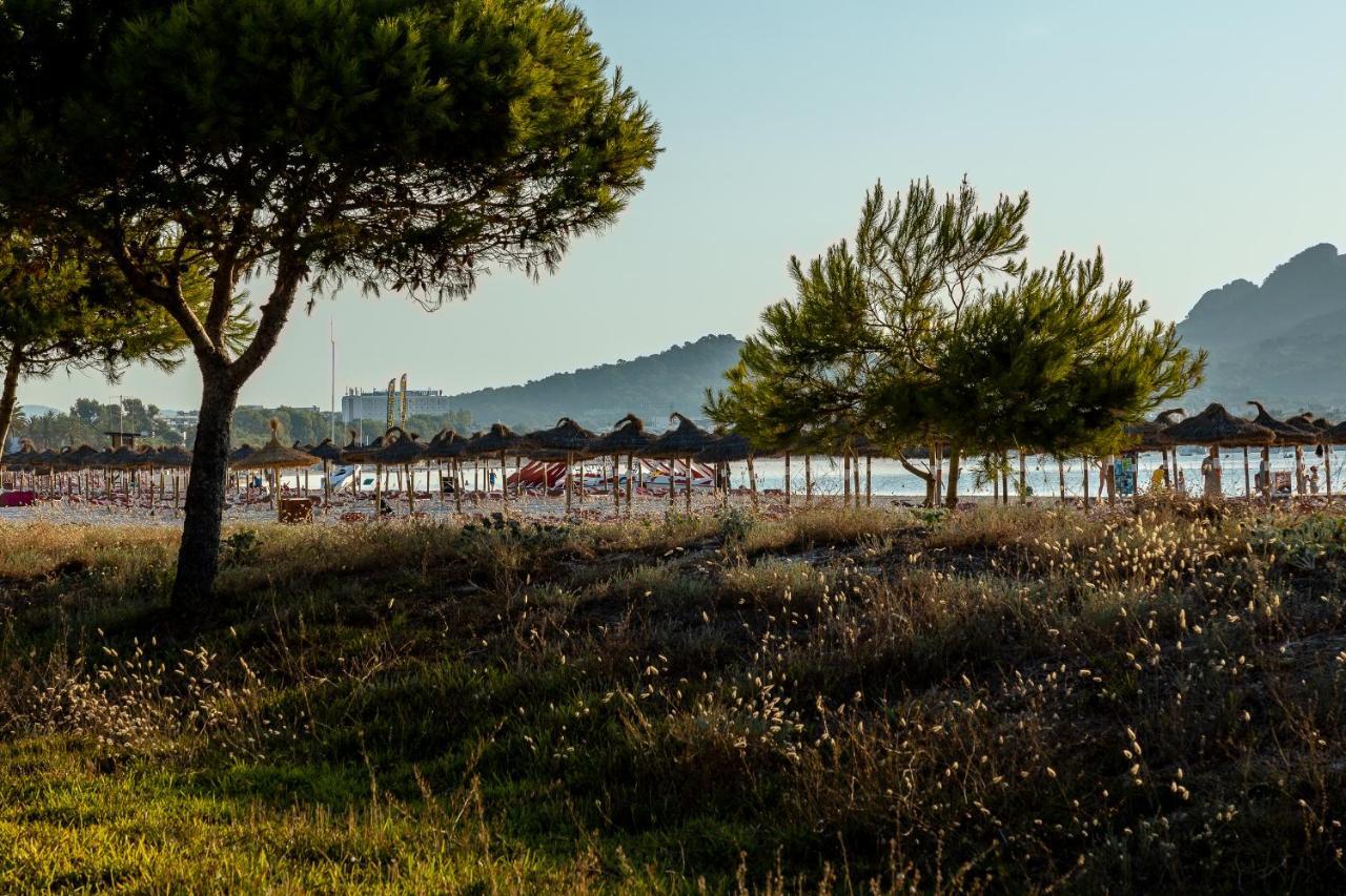 Apartments Playa Alcudia  Dış mekan fotoğraf
