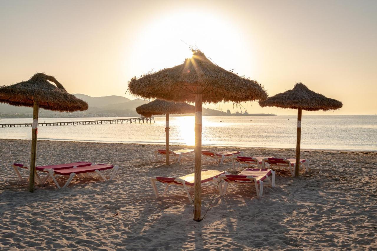 Apartments Playa Alcudia  Dış mekan fotoğraf